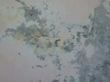 Indian_Jully December 16, 2025 Chaturbate stream image