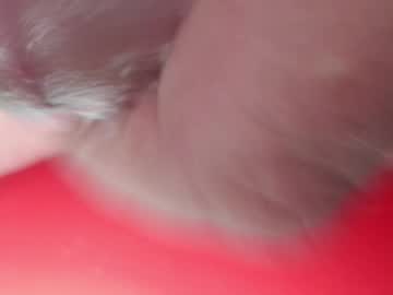 Bubblecum5973 December 16, 2025 Chaturbate stream image