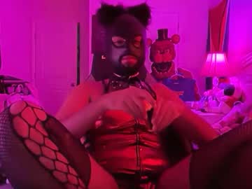 Puppydes December 18, 2025 Chaturbate stream image