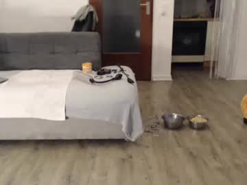 Little_Sow December 18, 2025 Chaturbate stream image