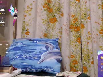 Olguscha stream photo from December 19, 2025