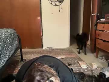 Maroon_Moon December 21, 2025 Chaturbate stream image
