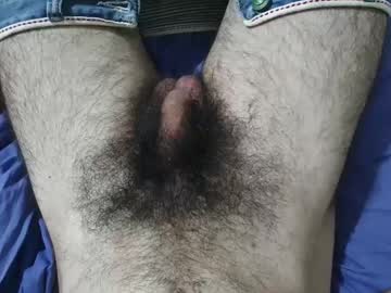 Bomvemcam December 26, 2025 Chaturbate stream image