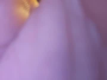 Rastamietek975875 December 26, 2025 Chaturbate stream image