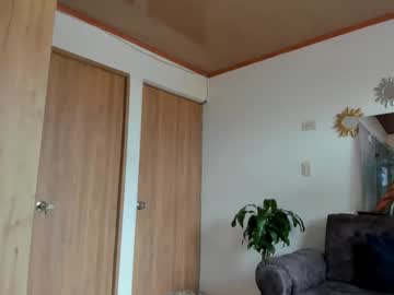 Alansex66 December 28, 2025 Chaturbate stream image