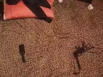 Drdrea69 December 30, 2025 Chaturbate stream image