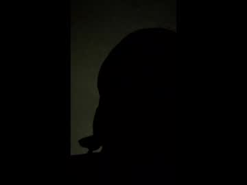 Romeogemini December 31, 2025 Chaturbate stream image
