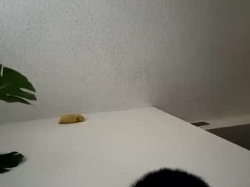 Rula___1 December 31, 2025 Chaturbate stream image