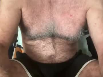 Bigbush1 January 01, 2026 Chaturbate stream image