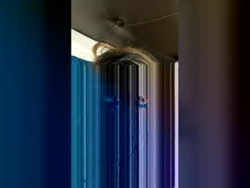 Sissyslut647 January 01, 2026 Chaturbate stream image