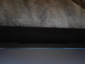 Benhorny87 January 01, 2026 Chaturbate stream image