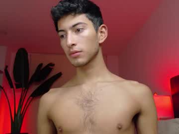 Ethan_Skiny_ January 02, 2026 Chaturbate stream image
