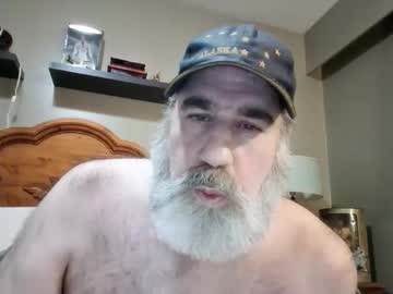 Straightbear4you January 03, 2026 Chaturbate stream image