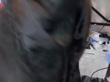 Bigddide1234 January 03, 2026 Chaturbate stream image