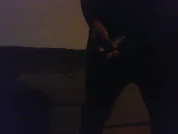 Blongd2 January 04, 2026 Chaturbate stream image