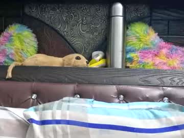 Dollmeenu January 04, 2026 Chaturbate stream image