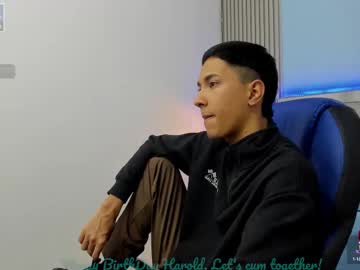 Haroldxl January 06, 2026 Chaturbate stream image