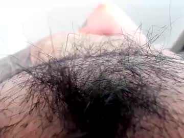Hottbee3645 January 07, 2026 Chaturbate stream image