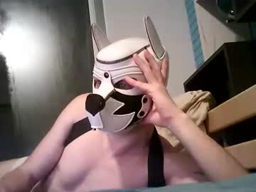 Shirogane2004 January 07, 2026 Chaturbate stream image