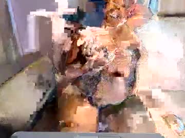 Blueyivy January 08, 2026 Chaturbate stream image