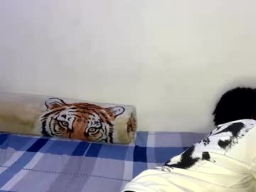 Alman_Femdomm January 08, 2026 Chaturbate stream image
