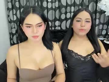 Urhotladyboy_Amari January 09, 2026 Chaturbate stream image