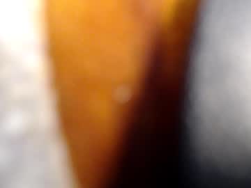 Fckyariangel January 10, 2026 Chaturbate stream image