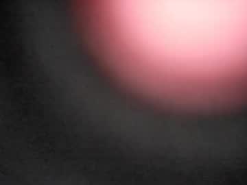 Pureblood84 January 11, 2026 Chaturbate stream image