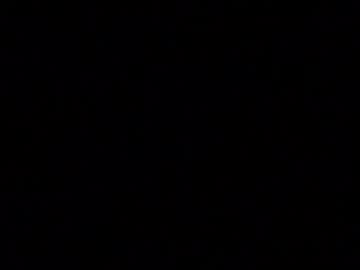 Iridisit January 12, 2026 Chaturbate stream image