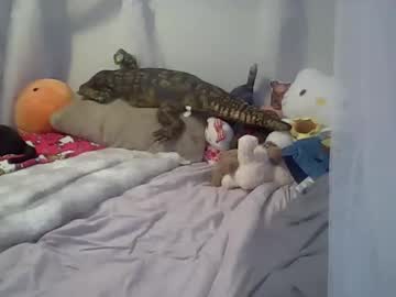 Laylakutiex January 13, 2026 Chaturbate stream image