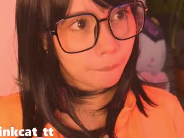 Piinkcat January 13, 2026 Chaturbate stream image