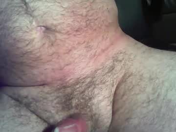Zokalo January 13, 2026 Chaturbate stream image