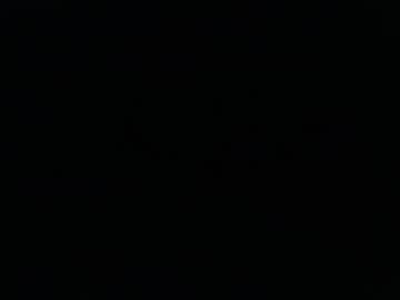 Hapycoc January 13, 2026 Chaturbate stream image