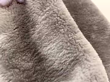Asslover742827 January 14, 2026 Chaturbate stream image