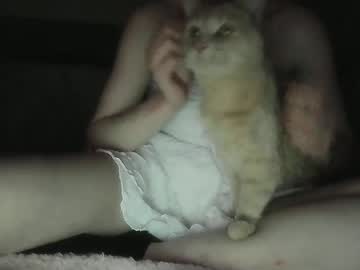 Seducedaddy January 14, 2026 Chaturbate stream image