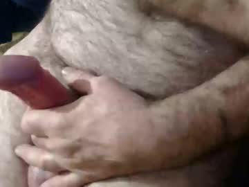 Coyote017 January 15, 2026 Chaturbate stream image
