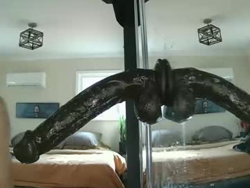 Dpthroatorallybi January 15, 2026 Chaturbate stream image