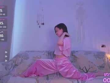 Bermudatrait January 16, 2026 Chaturbate stream image