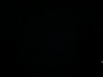 Ryex319 January 18, 2026 Chaturbate stream image