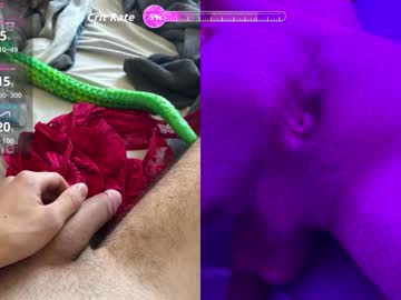 Denskitoys January 20, 2026 Chaturbate stream image