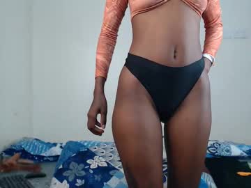 Playfulpixiekara January 20, 2026 Chaturbate stream image