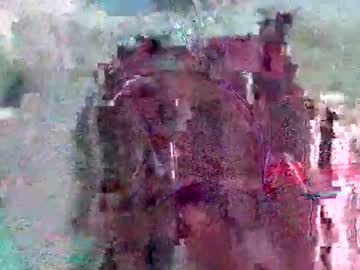 Wolfrot January 21, 2026 Chaturbate stream image
