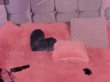 Cock_Big_Girl2 January 22, 2026 Chaturbate stream image