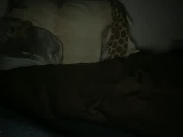 Dcsprwls January 23, 2026 Chaturbate stream image