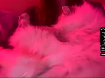 Faewildz January 23, 2026 Chaturbate stream image
