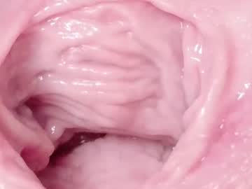 Orchidekitty January 23, 2026 Chaturbate stream image