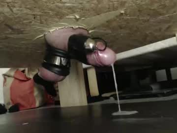 Felicity_Cd January 24, 2026 Chaturbate stream image