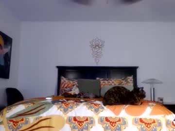 Yoursexymorgan January 24, 2026 Chaturbate stream image