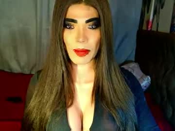 Horsecockterra January 26, 2026 Chaturbate stream image