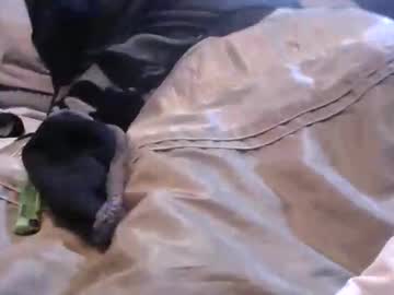 Justinjodysarah957251 January 27, 2026 Chaturbate stream image